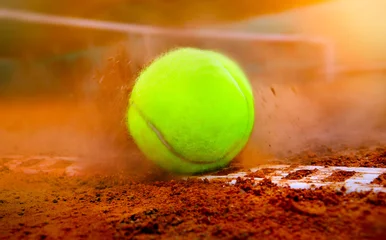Foto op Aluminium tennis ball on a tennis court © Mikael Damkier