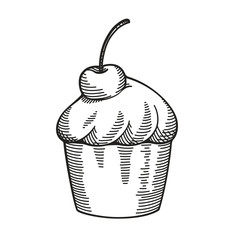 Hand drawn cupcake sketch