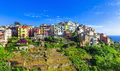 Obraz premium Corniglia- pictorial village in famous 