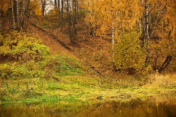 ladder on autumn riverbank