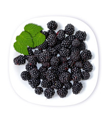 Blackberries isolated on white background
