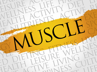 Muscle word cloud, health concept