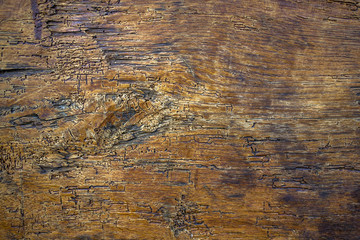 Wooden texture