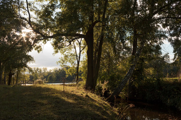 Naklejka premium Licht und Schatten..