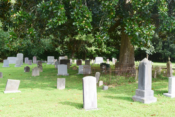 Old cemetery 3