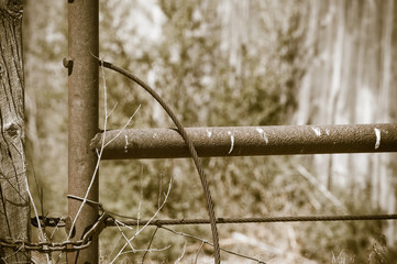 Detail of Old Wood and Rusted Iron Gate on a Rural Farm in America (Antique)