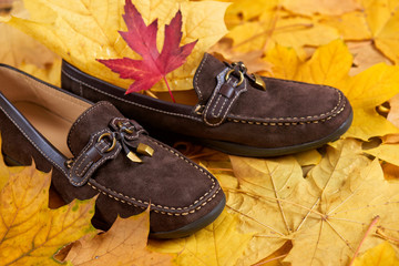 suede shoes on autumn leaves background