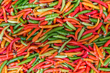 colorful chili peppers, closeup view 