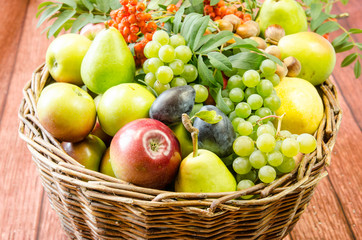 fall fruits