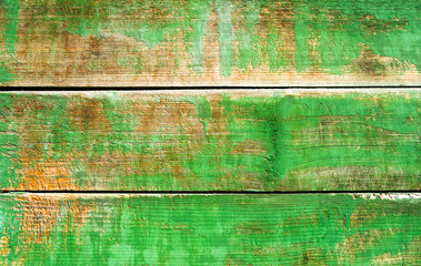 Obraz premium Green wooden plank texture as background