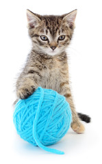 Cat with ball of yarn