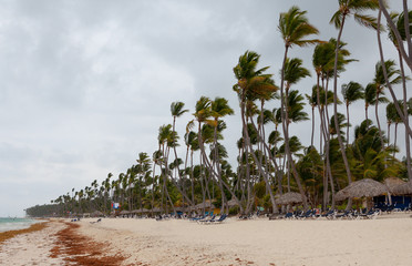 Hurricane on the beach