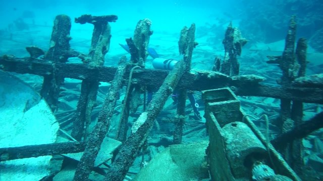 Holzgerippe eines Schiffswracks 