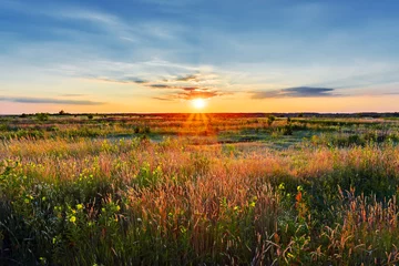 Poster de jardin Nature Sunset in field, beautiful summer landscape