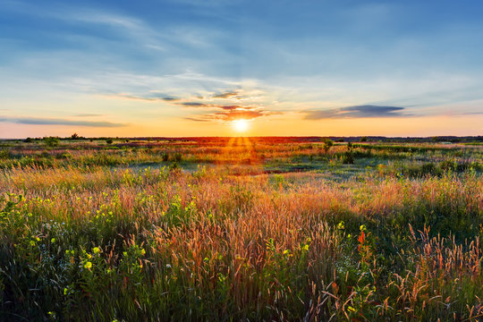 Sunset in field, beautiful summer landscape