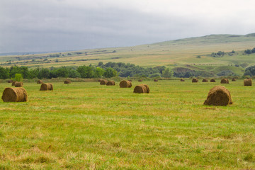 Hay harvesting