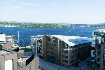 Norwegian Constitution Day view at Oslo fjord