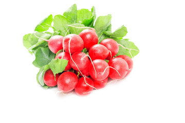 Fresh red radishes isolated on white