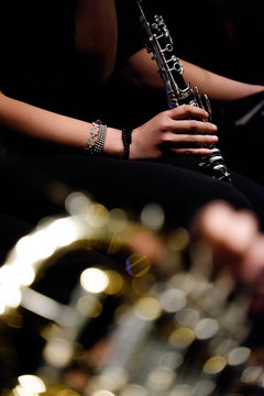 clarinetto e corno durante un concerto