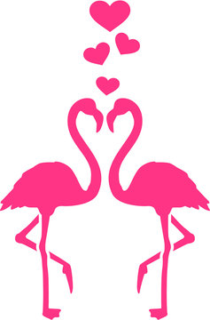 Two Flamingos in love