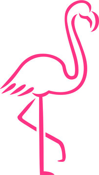Pink Flamingo drawn lines