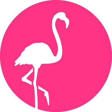 Flamingo in front of pink mooon