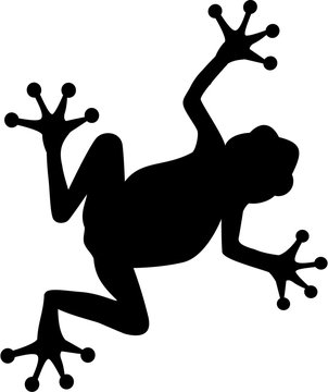 Frog walking silhouette