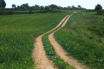 camino