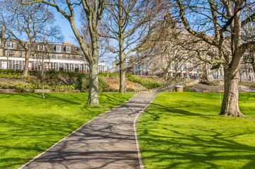 Paved Path Lined with Leafless Trees