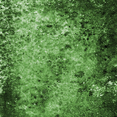 etro green background
