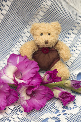 Cute teddy bear and pink gladiolus. Gift concept