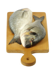 Obraz premium dorado