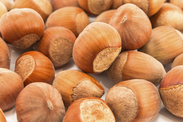 Hazelnuts