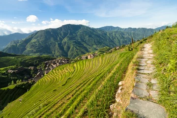 Poster Longsheng rice terraces guilin china landscape © Juhku