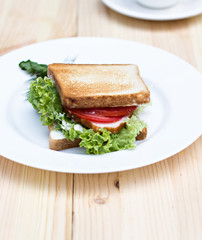 Sandwich  on the table