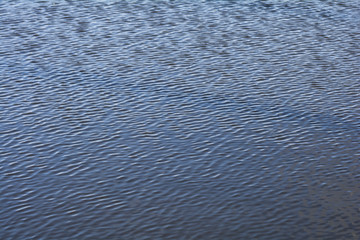 小波の起きている水面