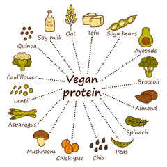 Set of cartoon hand drawn objects on vegan protein source theme