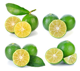 Fototapeta na wymiar lime fruit isolated on white background