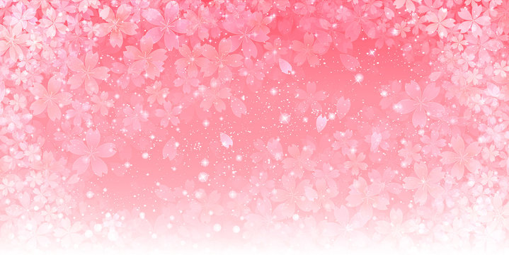 桜　春　背景