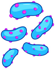Blue bacteria with pink bumps