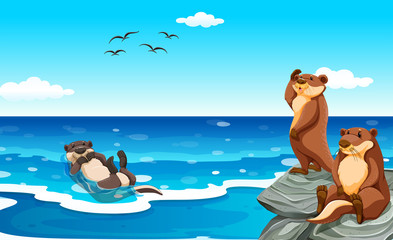 Obraz na płótnie Canvas Sea otter living in the ocean