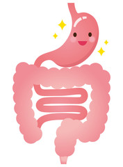 胃腸　消化器