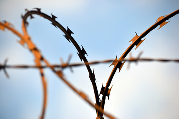 Barbed wire