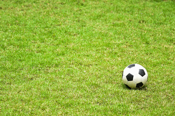 soccer ball