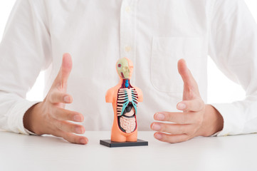 人体模型で説明している男性
