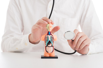 人体模型と聴診器を使って説明している男性