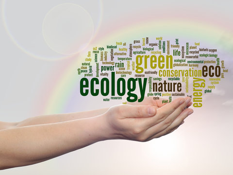 Conceptual ecology word cloud