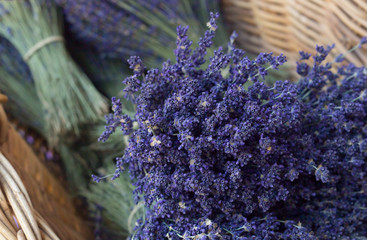 Bunch of lavender flowers.