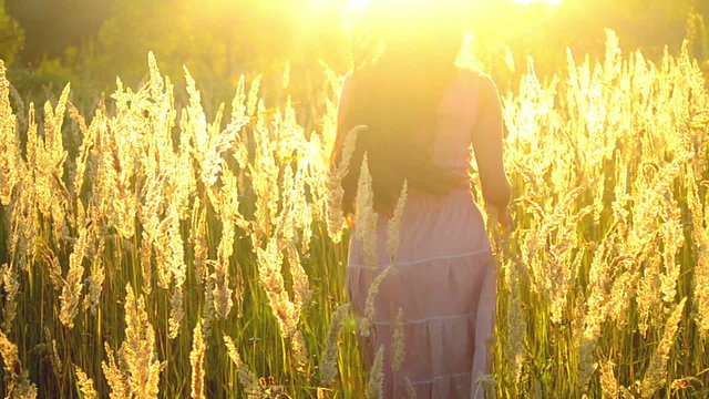 girl with long hair out of the field with high grass