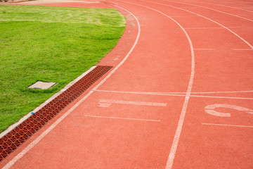 Fototapeta premium running Track Lane Numbers and grass